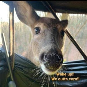 Meet your Posher, Brad